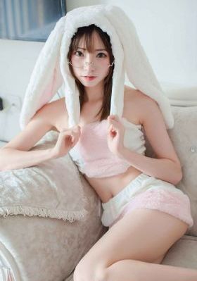 杀狼花电视剧全集免费播放