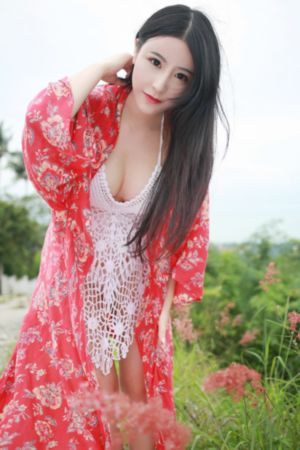叛逆者1-43集免费