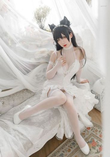藏海花1—36集电视剧免费观看