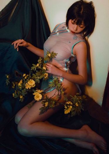 后宫帝王之妾电影