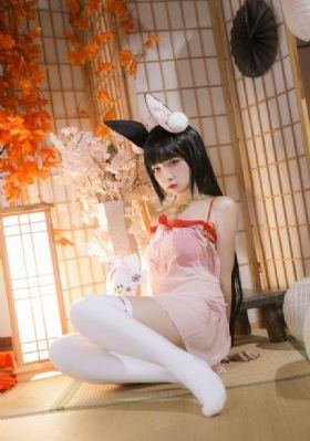顾总闪婚短剧免费观看