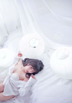 细狗网页端登录入口