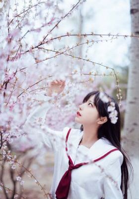 花容月貌完整版